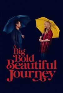 A Big Bold Beautiful Journey (2025) Hindi Dubbed
