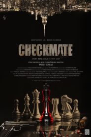 Checkmate (2024) Hindi Dubbed
