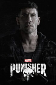The Punisher (2017) Hindi Season 1 Complete